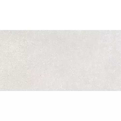 Керамогранит Coral Rock_GT Светло-серый  30x60, Выбрать цвет: Светло-серый, изображение 3