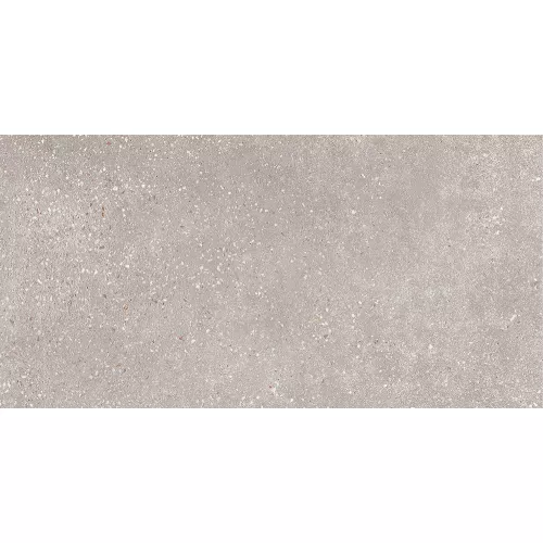 Керамогранит Coral Rock_GT Серый 30x60, Выбрать цвет: Серый, изображение 3