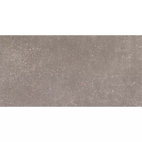 Керамогранит Coral Rock_GT Темно-серый 30x60, Выбрать цвет: Темно-серый, изображение 3