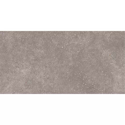 Керамогранит Coral Rock_GT Темно-серый 30x60, Выбрать цвет: Темно-серый, изображение 8