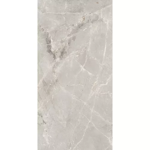 Керамогранит Tulip_GT Серый  полир., Выбрать цвет: Серый, Выбрать размер: 60х120, изображение 3