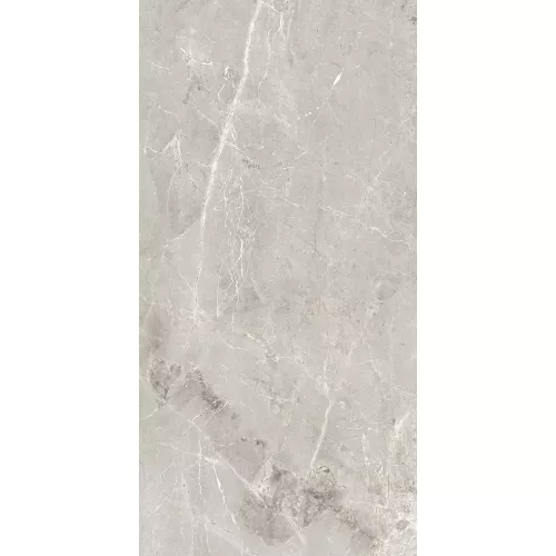 Керамогранит Tulip_GT Серый  полир., Выбрать цвет: Серый, Выбрать размер: 60х120, изображение 4