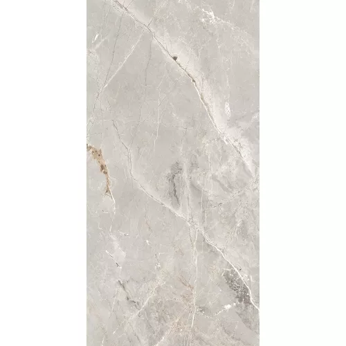 Керамогранит Tulip_GT Серый  полир., Выбрать цвет: Серый, Выбрать размер: 60х120, изображение 6