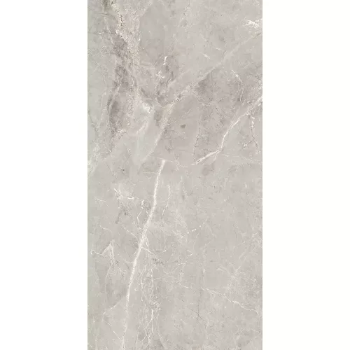Керамогранит Tulip_GT Серый  полир., Выбрать цвет: Серый, Выбрать размер: 60х120, изображение 8