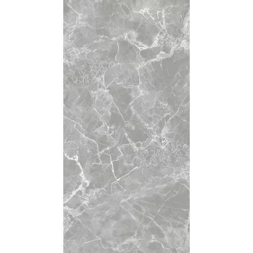 Керамогранит Solo_GT Серый полир., Выбрать цвет: Серый, Выбрать размер: 60х120, изображение 4
