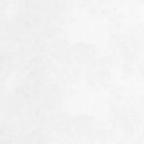 Плитка грес глаз. Boreal_GT Светло-серый  60*60, Выбрать цвет: Светло-серый, изображение 3