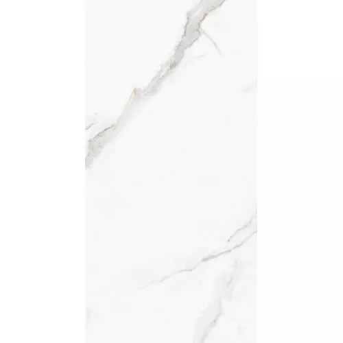 Керамогранит Monza_GT Белый  60x120 полир., изображение 9