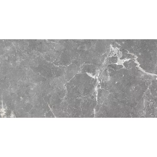 Плитка облиц. Capella GT Серый  50*25, Выбрать цвет: Серый, изображение 4