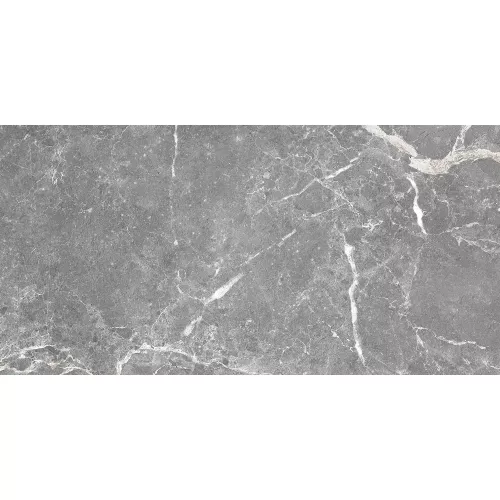 Плитка облиц. Capella GT Серый  50*25, Выбрать цвет: Серый, изображение 5