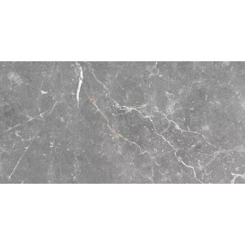 Плитка облиц. Capella GT Серый  50*25, Выбрать цвет: Серый, изображение 6