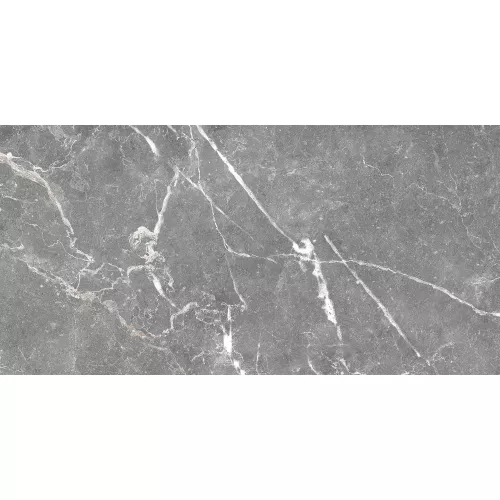 Плитка облиц. Capella GT Серый  50*25, Выбрать цвет: Серый, изображение 9