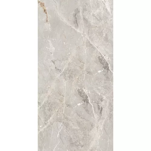 Керамогранит Tulip_GT Серый  полир., Выбрать цвет: Серый, Выбрать размер: 60х120, изображение 2