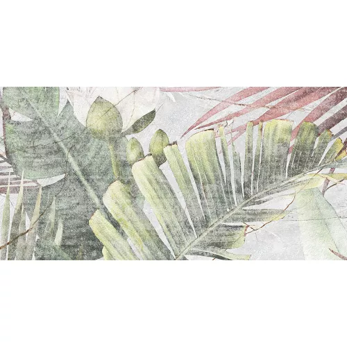 Плитка облиц. Aventura GT Серый  50*25 _тропики, Выбрать цвет: Тропики, изображение 2