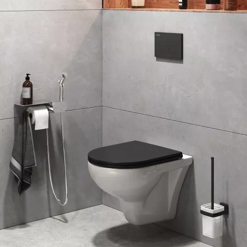 AM.PM Gem набор подвесной унитаз с гиг.душем, изображение 3