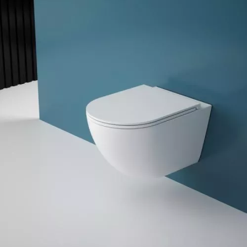 Унитаз подвесной FORTEX-53T, изображение 2