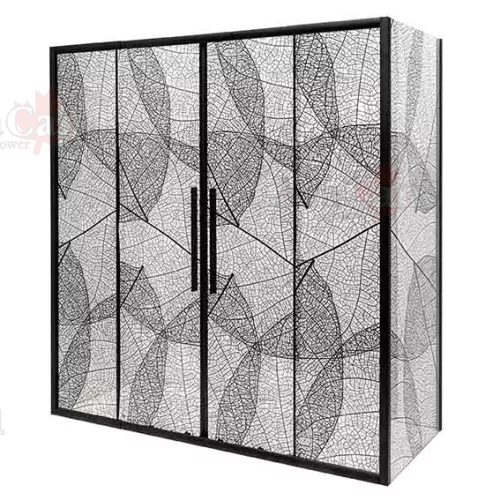 Душевой уголок AvaCan FB2  с рисунком/черный, Цвет стекла: с рисунком, Цвет профиля: Черный, Выбрать размер: 170-190х90, изображение 3