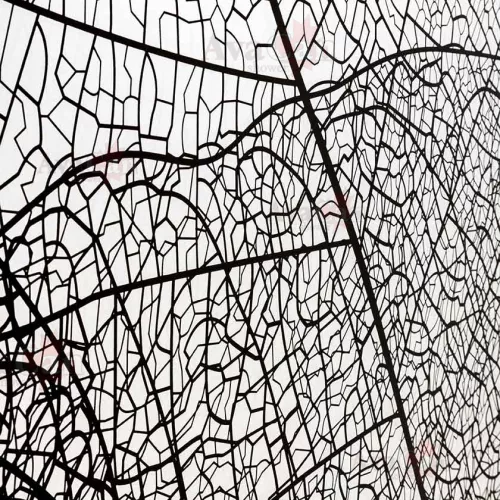 Душевая перегородка AvaCan MB100/110/120, Цвет стекла: с рисунком, Цвет профиля: Черный, Выбрать размер: 120, изображение 16