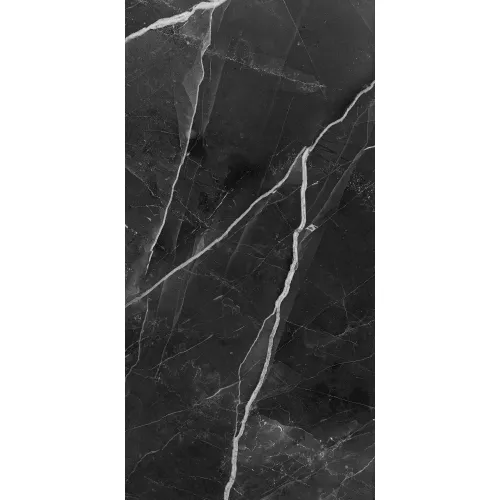 Керамогранит Arcadia_GT Темно-серый  60x120 суперполировка/кв.м, изображение 5