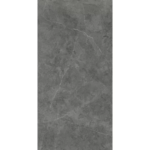 Керамогранит Nioba_GT Темно-серый  60x120 /кв.м, Выбрать цвет: Темно-серый, изображение 3