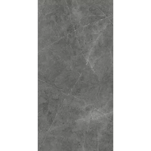 Керамогранит Nioba_GT Темно-серый  60x120 /кв.м, Выбрать цвет: Темно-серый, изображение 4