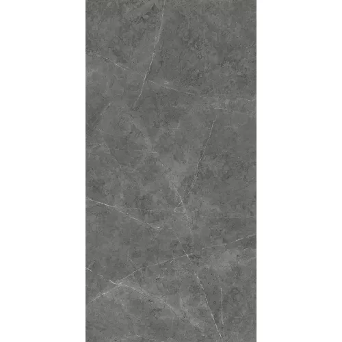 Керамогранит Nioba_GT Темно-серый  60x120 /кв.м, Выбрать цвет: Темно-серый, изображение 6