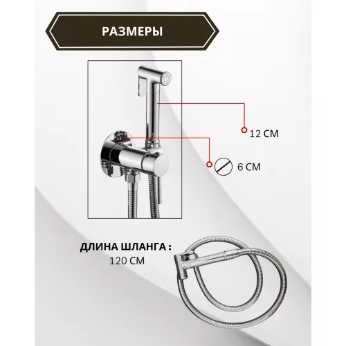 Душ гигиенический ACWEN 82003 хром, Выбрать цвет: Хром, изображение 4