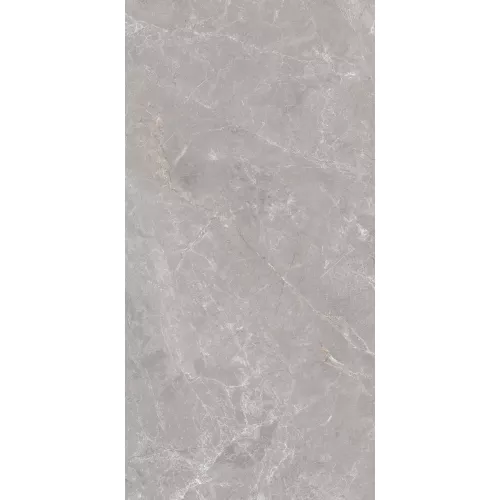 Керамогранит Anatolia_GT Серый 60x120, Выбрать цвет: Серый, изображение 2