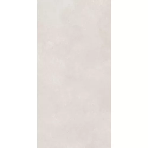 Керамогранит Cassini_GT Светло-серый 60x120, Выбрать цвет: Светло-серый, изображение 2