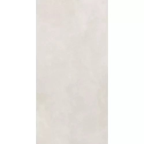 Керамогранит Cassini_GT Светло-серый 60x120, Выбрать цвет: Светло-серый, изображение 4