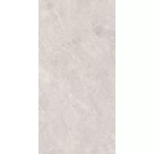 Керамогранит Montera_GT Светло-серый 60x120, изображение 5