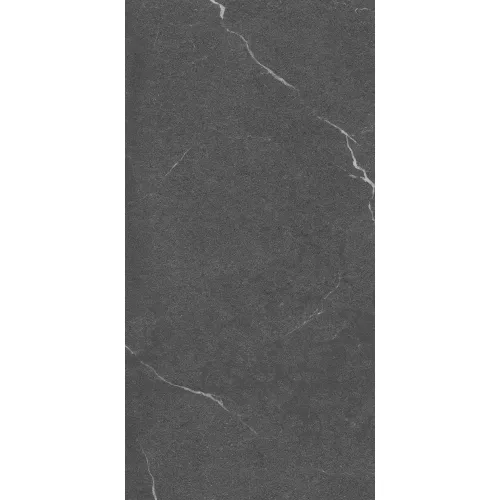 Керамогранит Lakeside_GT Черный 60x120, Выбрать цвет: Черный, изображение 4