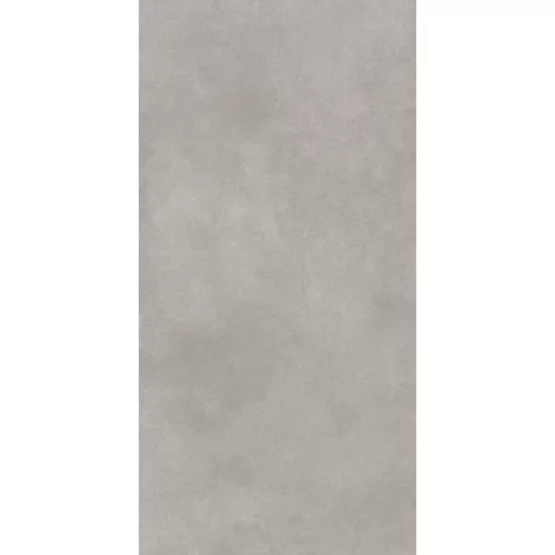 Керамогранит Cassini_GT Серый 60x120, Выбрать цвет: Серый, изображение 2