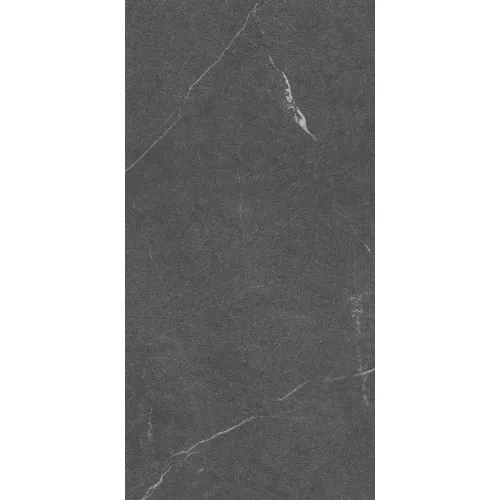 Керамогранит Lakeside_GT Черный 60x120, Выбрать цвет: Черный, изображение 2