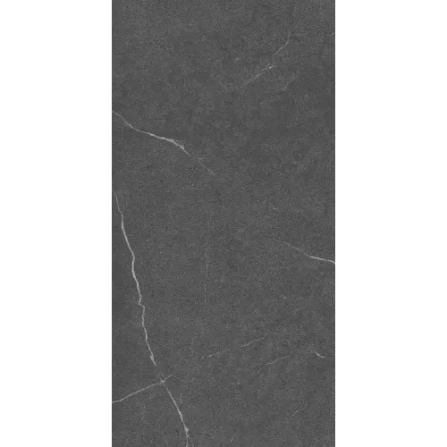 Керамогранит Lakeside_GT Черный 60x120, Выбрать цвет: Черный, изображение 5