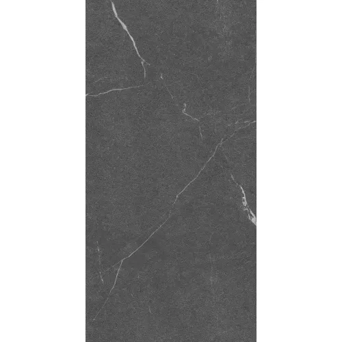 Керамогранит Lakeside_GT Черный 60x120, Выбрать цвет: Черный, изображение 3