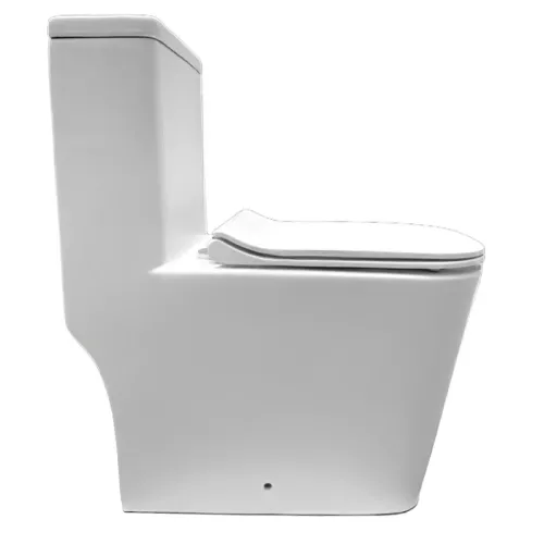 Унитаз-моноблок напольный Triton Mono Pro MO-8706, изображение 2