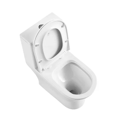 Унитаз-моноблок с сиденьем BelBagno LOUNGE BB8618CPR-MN/SC, изображение 2