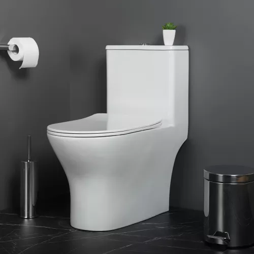 Унитаз-моноблок с сиденьем BelBagno LOUNGE BB8618CPR-MN/SC, изображение 8