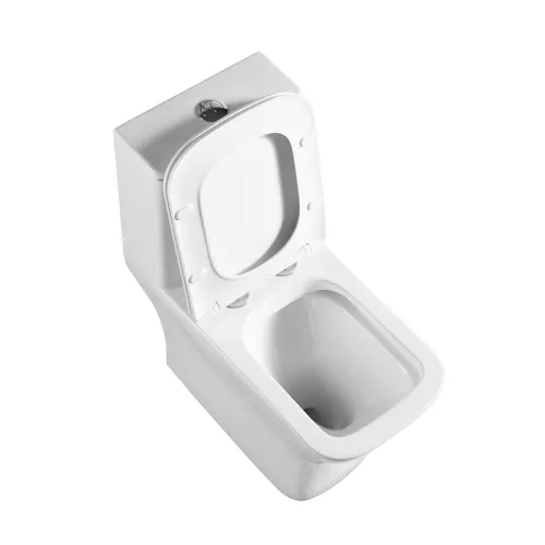 Унитаз-моноблок с сиденьем BelBagno NEON BB8617CPR-MN/SC, изображение 2