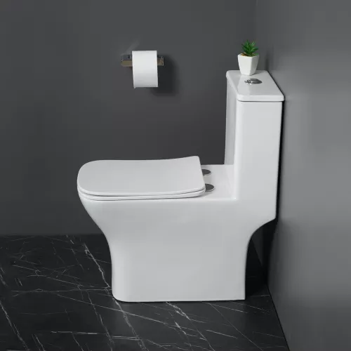Унитаз-моноблок с сиденьем BelBagno NEON BB8617CPR-MN/SC, изображение 8
