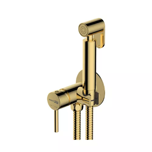 WasserKRAFT A70738 Встраиваемый смеситель для душа с гигиенической лейкой