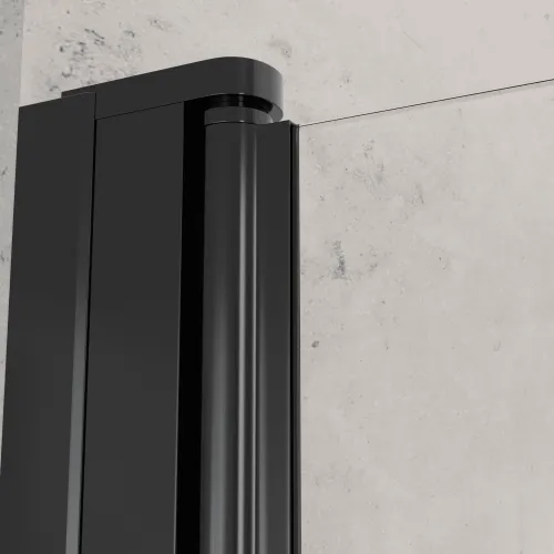 Душевая дверь RGW Dolphin TN-03B, Цвет стекла: прозрачное, Цвет профиля: Черный, Выбрать размер: 80, изображение 4