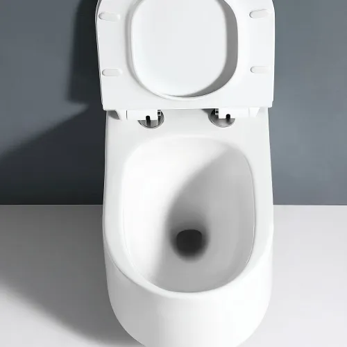 Унитаз подвесной RGW SW-54, изображение 4