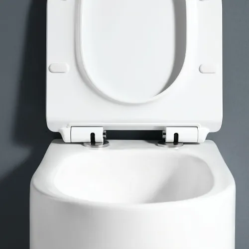 Унитаз подвесной RGW SW-54, изображение 5