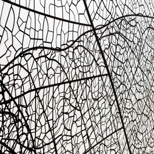 Душевая перегородка AvaCan MB100/110/120, Цвет стекла: с рисунком, Цвет профиля: Черный, Выбрать размер: 120, изображение 110