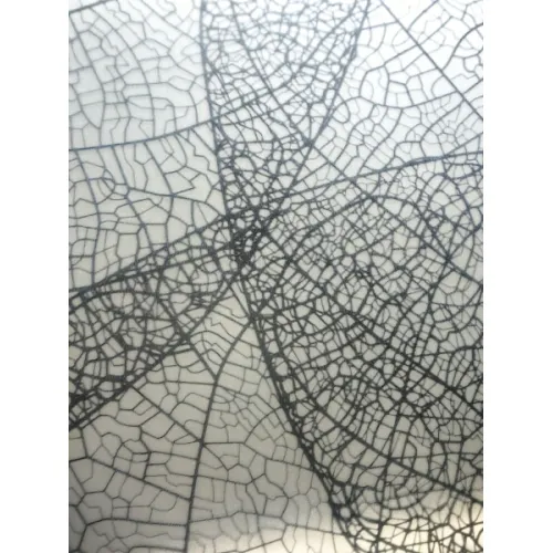 Душевой уголок AvaCan PB 90/100 MT, Цвет стекла: матовое с рисунком, Цвет профиля: Черный, Выбрать размер: 90х90, изображение 18