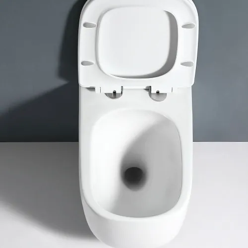 Унитаз подвесной RGW SW-53, изображение 18