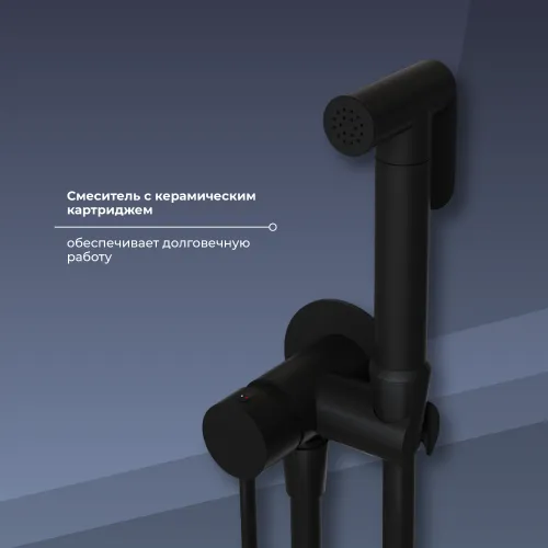 Гигиенический душ со смесителем RGW SP-211B, Выбрать цвет: Черный, изображение 21