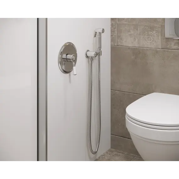 Смеситель встроенный с гигиеническим душем Timo Arisa 5309/00SM