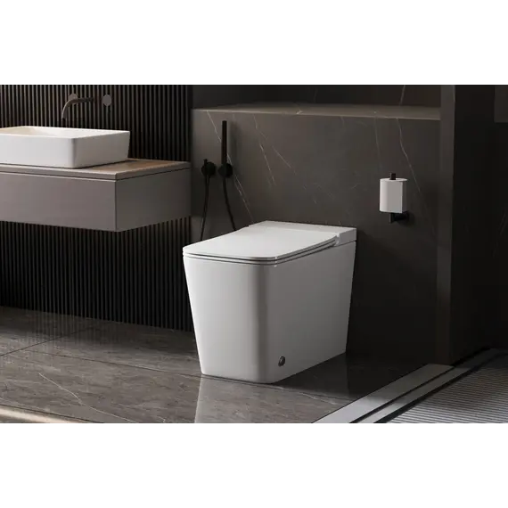 Унитаз ABBER Rechteck AC1213P приставной белый с импульсным смывом